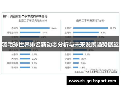 羽毛球世界排名新动态分析与未来发展趋势展望